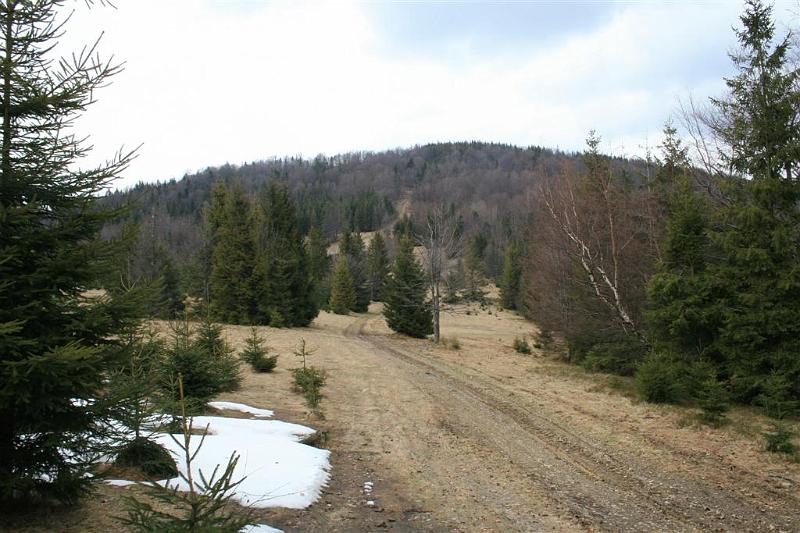 Wiosna w Beskidach 498.jpg